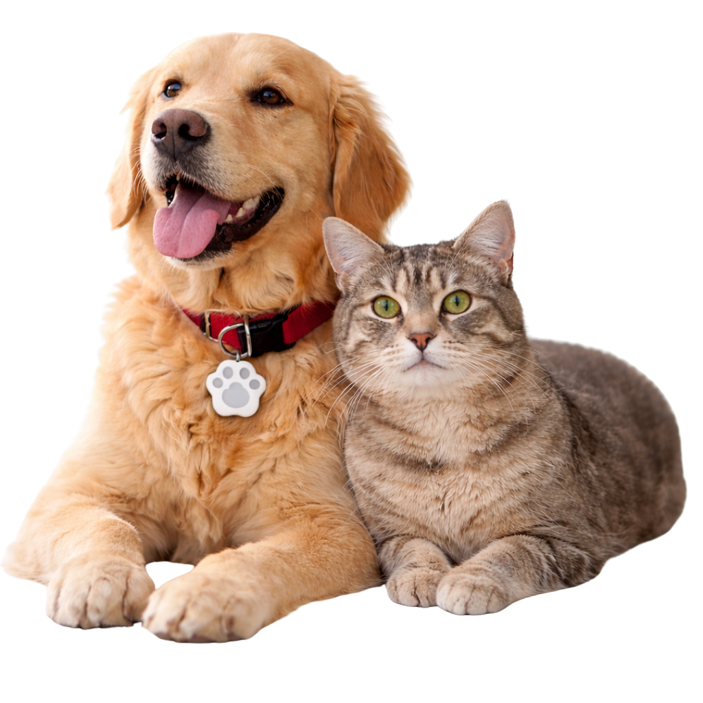 Mascotas